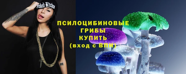 ешки Балахна