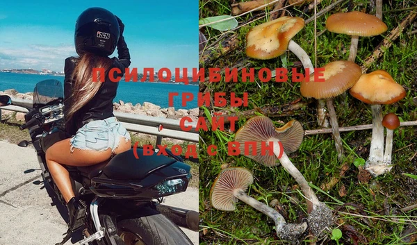 МДПВ Арсеньев