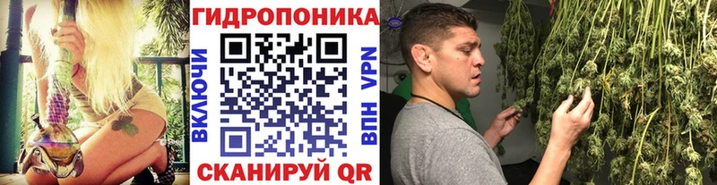 Каннабис индика Новодвинск